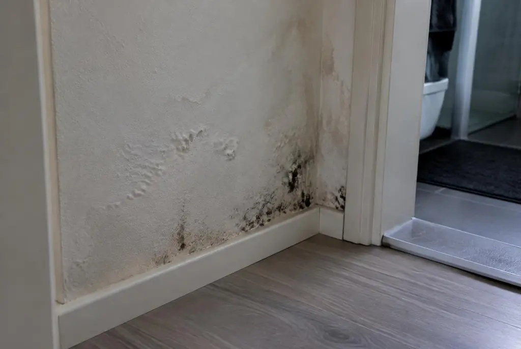 Lekdetectie Garderen – vochtplek met schimmel op een muur